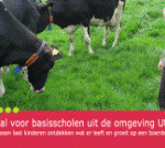 Boerderij in de Kijker