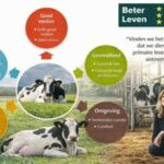 Innovaties Dierenwelzijn